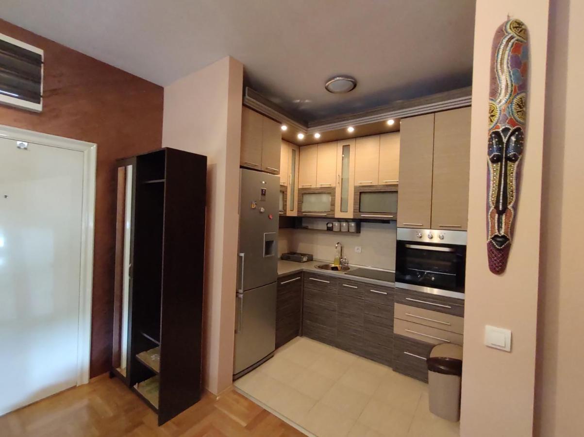 Apartment Stefana Belgrad Exterior foto